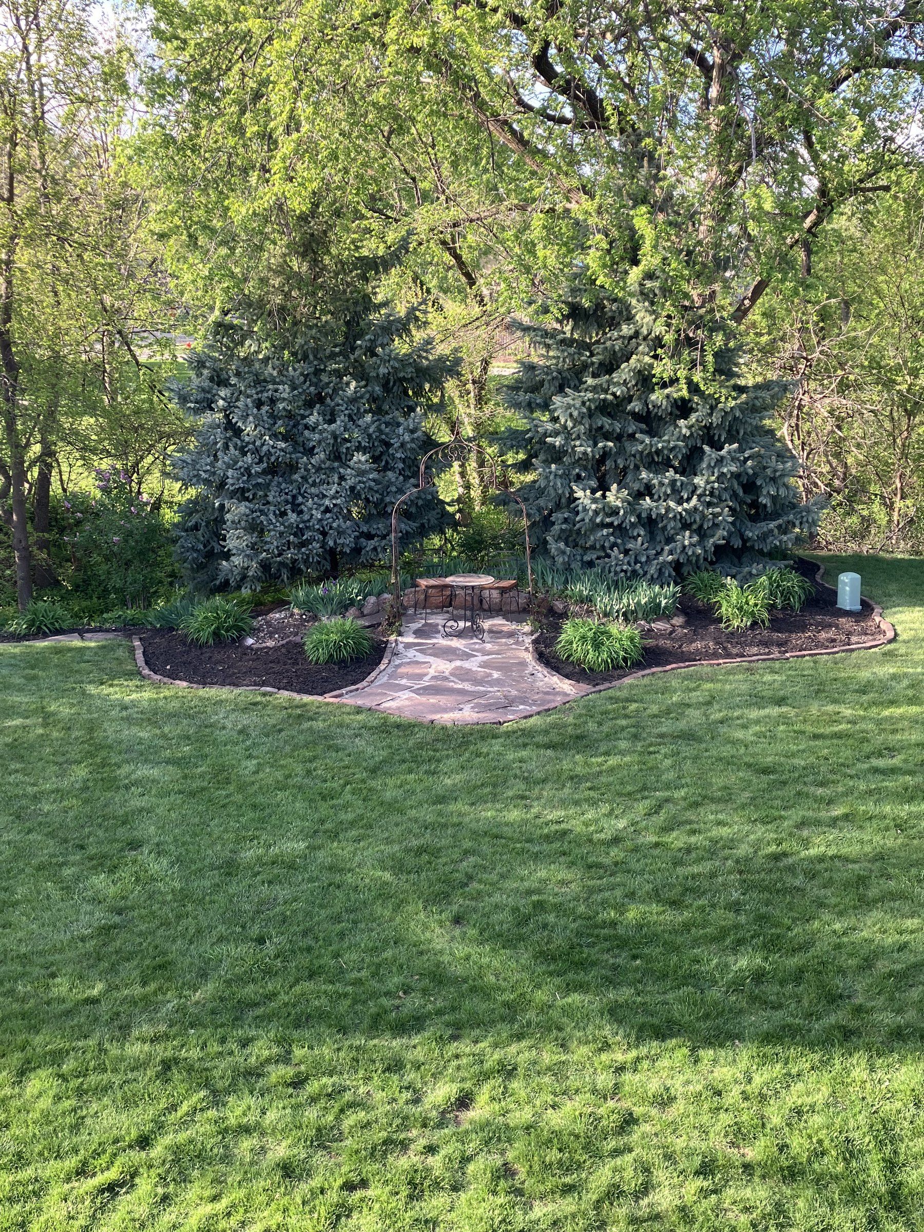 Mulched beds and a stone path framed by blue spruces, with an edged lawn in front