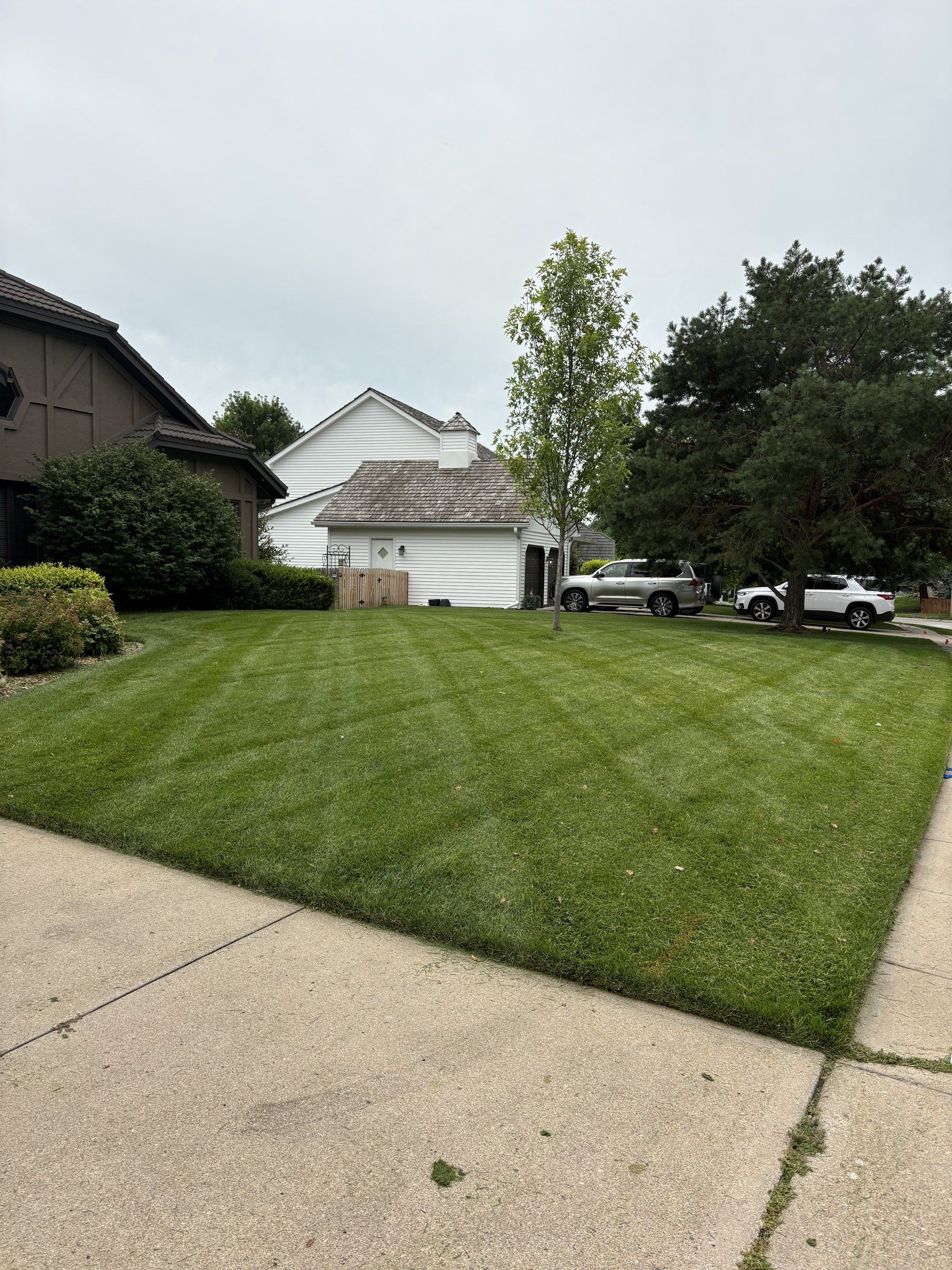 Freshly mowed front lawn with diagonal stripes and a crisp edge along the sidewalk