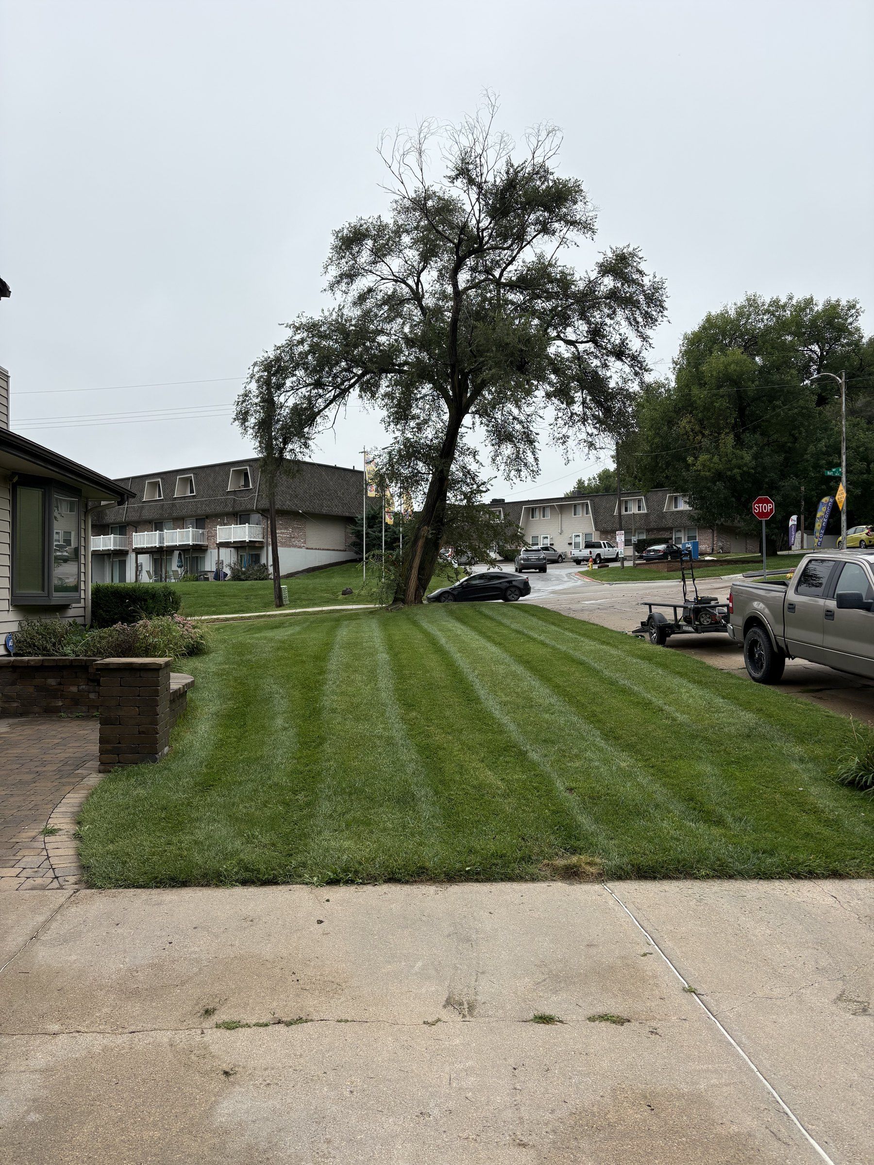LSW Scapes pickup and mower trailer parked beside a freshly striped lawn