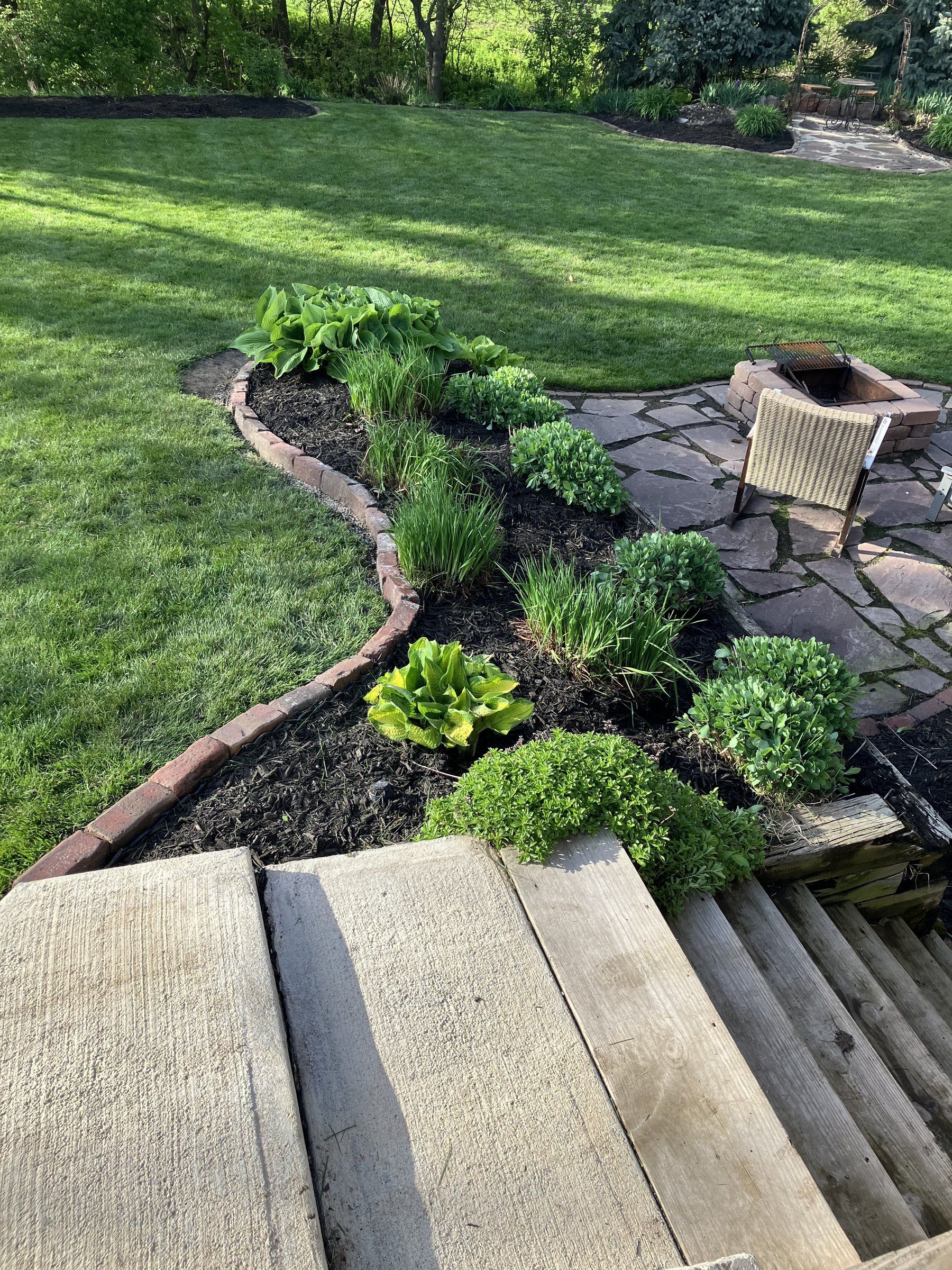Curved, freshly mulched planting bed of hostas and perennials with brick edging