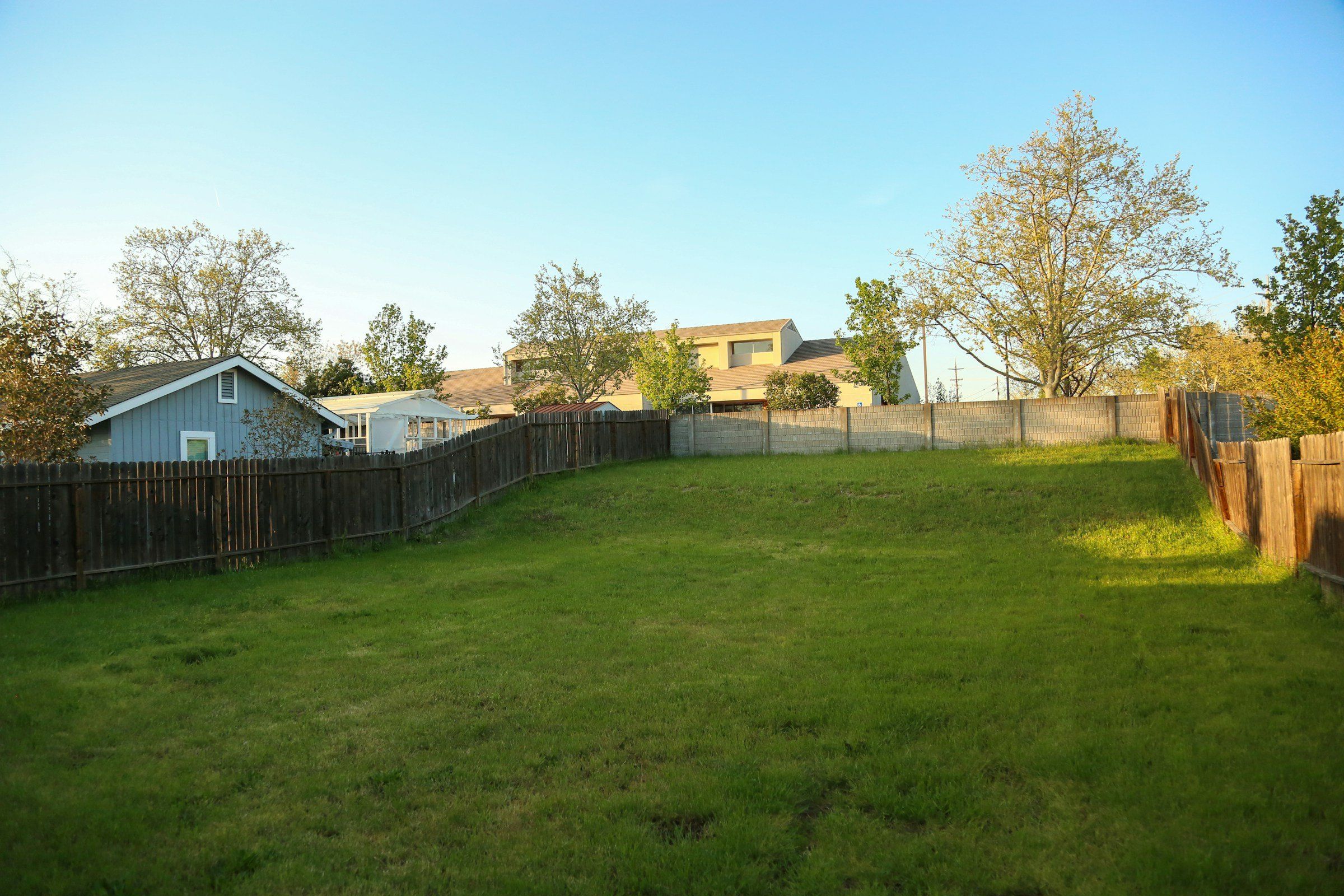 After: the same fenced backyard with thick, green grass