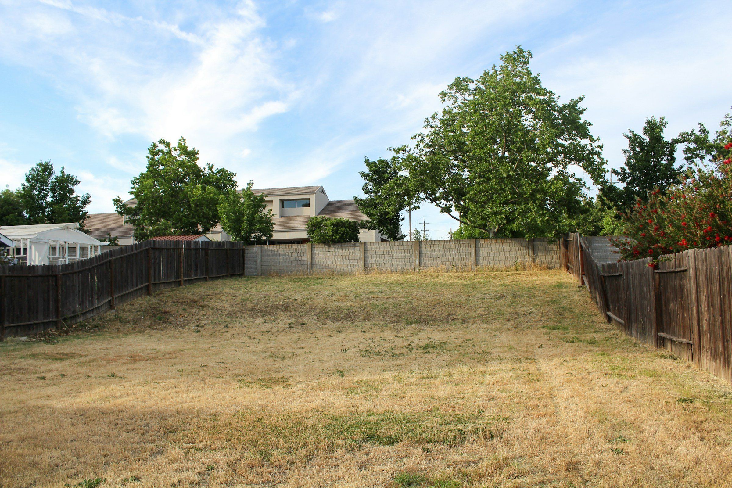 Before: fenced backyard with a dry, patchy brown lawn